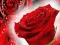 游戏Red Roses在线