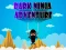 游戏Dark Ninja Adventure在线