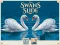 游戏Swans Slide在线