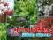 游戏Spring Flowers: Hidden Objects在线