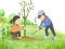 游戏Arbor Day Puzzle在线