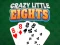 游戏Crazy Little Eights在线