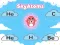 游戏SkyAtoms在线