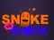 游戏Snake vs Blocks在线