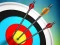 游戏Master Archery Shooting在线