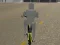 游戏Bicycle Simulator在线