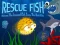 游戏Rescue Fish在线