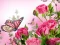 游戏Butterflies Puzzle在线