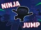 游戏Ninja jump在线