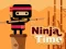 游戏Ninja Time在线