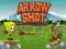 游戏Arrow Shoot在线