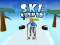 游戏Ski Rush 3d在线