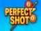 游戏Perfect Shot在线