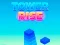游戏Tower Rise在线
