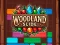 游戏Woodland Slide在线