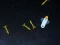 游戏5 Minutes in Space在线