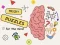 游戏Brain Puzzles Quests在线