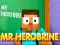 游戏Mr Herobrine在线
