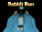 游戏Rabbit Run 3D在线