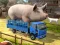 游戏Driver Master Simulator在线