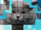 游戏PicPu Cat在线
