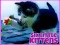 游戏Six Little Kittens在线