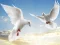 游戏Flying Birds在线