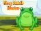游戏Frog Match Master在线