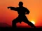 游戏Karate Sunset Warriors在线