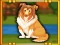 游戏Bernese Mountain Dog Escape在线