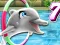 游戏My Dolphin Show 7在线