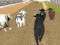 游戏Angry Bull Racing在线