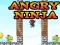 游戏Angry Ninja在线