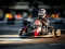 游戏Kart Karting在线