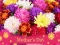 游戏2019 Mother's Day Puzzle在线