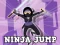 游戏Ninja Jump在线