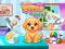 游戏Cute Puppy Care在线