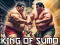 游戏King Of Sumo the ultimate brawl在线