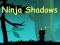 游戏Ninja Shadows在线