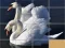 游戏Animals Slide Puzzle在线
