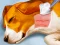 游戏Dog Hospital在线
