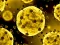 游戏Coronavirus Slide在线