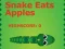 游戏Snake Eats Apples在线