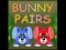 游戏Bunny Pairs在线