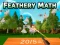 游戏Feathery Math在线