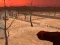 游戏Wasteland Shooters在线