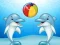 游戏Dolphin Show在线