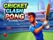 游戏Cricket Clash Pong在线