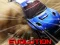 游戏Nitro Rally Evolution在线