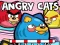 游戏Angry Cats在线